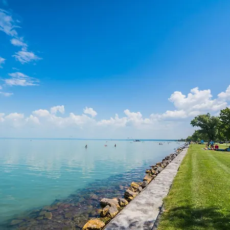 Myflat Wave Studio 36